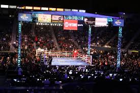 74 Skillful Stubhub Center Boxing Seating View