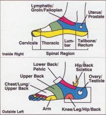 reflexology chart sides of feet foot reflexology foot