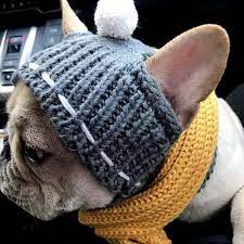 Dog Knitted Winter Beanie French Bulldog Clothes Dog Beanie French Bulldog Full Grown