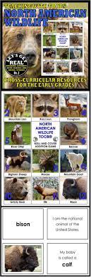 Teaching With Toobs North American Wildlife North American Wildlife Teaching North American