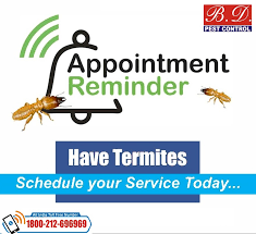 Bestserve pest management pvt ltd. Protect Your Home From Termites Before B D Pest Control India Pvt Ltd Facebook