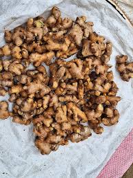 Image result for Mondia ecornuta