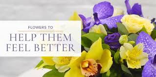They are also good for cheering someone up. A Guide To Sending Flowers To Someone In The Hospital