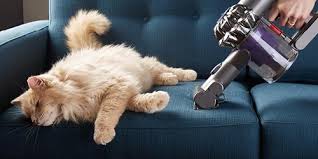 Best Buy On Twitter You Love Pets We Love Pets Pets Love This Tech Techhappypets Shop The Best In Pet Tech Https T Co Hpijm3lvzw
