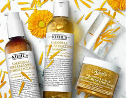 La Magia De La Calendula Llega Para Recuperar Tu Piel Tras El Verano