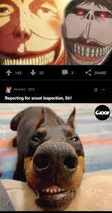 Laura bozzo habla del día que la arrestaron (imagen televisión9. This Goes Here 9gag