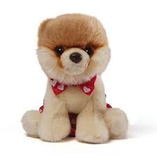 Itty Bitty Boo Bow Tie Siwb Boo Stuffed Animal Itty Bitty Boo World Cutest Dog