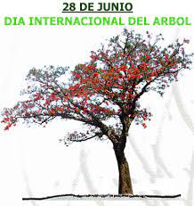 En el marco del día mundial del árbol organizaciones de la sociedad civil hicieron un llamado a detener el deterioro del medio ambiente y plantar más árboles. 28 De Junio Dia Internacional Del Arbol Blog De Paisajismo Digital