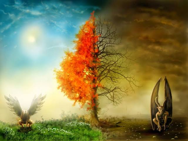 Imagem