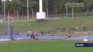 Athletics Nsw Live Stream 2020 Nsw 5000m Championships Facebook