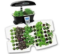 Your cultivator will take control of all variables that effect the growth of your plants like watering, lights, oxygen, temperature, humidity, nutrients and ph level of the water. 12 Best Inside Herb Planters And Indoor Vegetable Growers For 2020 Organicpowerfoods Com