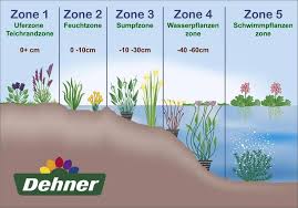 Pin By Musyakevich Vadim Igorevich On Forelevoe Hozyajstvo Farm Pond Pond In Case Of Emergency