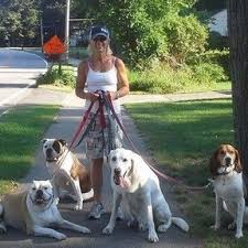 In Home Pet Sitting In Portland Maine