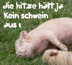 Weitere ideen zu hitze lustig, lustig, lustige bilder. á… Hitze Bilder Hitze Gb Pics Gbpicsonline