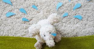 Mila's Daydreams: I'm just a Daydreamer...