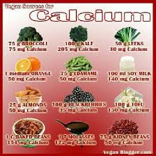Vegan Sources For Calcium Foods With Calcium Vegan