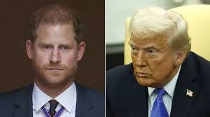 Banish ugly algae and mould from your patio with amazing 35p item