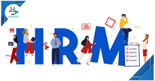 HRM là gì? Tổng quan về phần mềm quản lý nhân viên | Monamedia