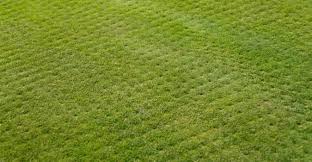 Maybe you would like to learn more about one of these? Lawn Aeration Milwaukee Wi Chop Chop Landscaping Milwaukee Wi