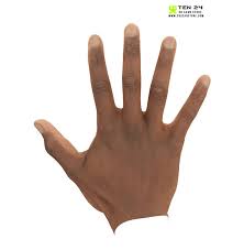 Image result for hands