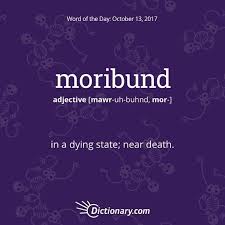 Pin By Destinycallsall On New Words Vocabulary Words Latin Words Weird Words