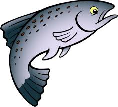 Salmon Fish Transparent Png Cow Fish Cartoons Vector Vector Illustration