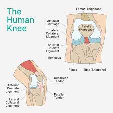 These causes often involve lack of mobility at the ankle or hip joints. Why Does My Knee Hurt During Or After Running