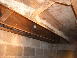 White Mold On Floor Joists In Crawlspace Before Removal Http Www Indianacrawlspacerepair Com Mold Remover Crawlspace Flooring