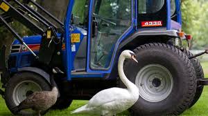 We check for new schwan's codes frequently, so just check back this page to find the latest available schwan's coupons. Schwan Gibt Traktor Den Laufpass Panorama