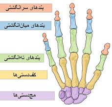 Related image