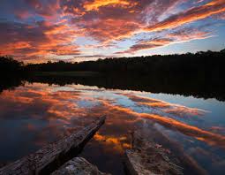Plan to visit findley state park, united states. Great Lakes And Rivers Findley Lake
