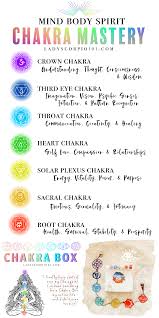 Chakra Mastery The Ultimate Journey To Self Discovery Chakra Plexus Products Energy Healing
