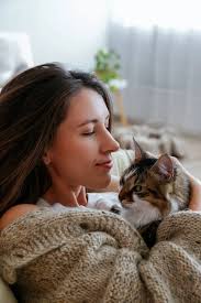 Portrait Young Woman Holding Cute Siberian Cat Green Eyes Female — Stock  Photo © evrmmnt #536169138