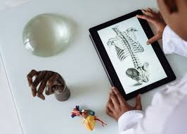 How this page explains badan ? Kosa Kata Bahasa Inggris Anggota Tubuh Manusia Dan Artinya
