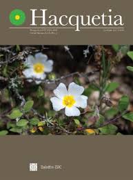 Image result for Abutilon sonneratianum