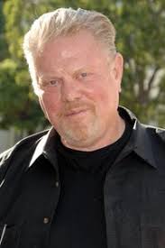 The Blue and the Gray