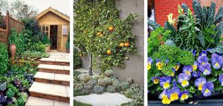 The pots add color to the garden as well as through the pot's different glazes, ceramic finishes and paints. Create An Edible Landscape Arizona Summerwinds Nursery