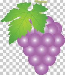 Pngtree provides millions of free png, vectors, clipart images and psd graphic resources for designers.| Green Grapes Png Images Green Grapes Clipart Free Download