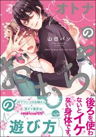オトナのおもちゃの遊び方【電子限定かきおろし漫画付】 | ブックライブ