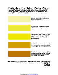 Dehydration Urine Color Chart Pdfsimpli