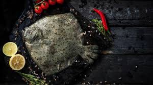 We did not find results for: Harga Fantastis Ikan Turbot Ikan Termahal Dunia Yang Dijadikan Pressure Test Masterchef Indonesia Tribun Bali