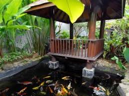 Kolam ikan tidak harus memiliki desain yang membosankan lho. 20 Model Kolam Ikan Minimalis Ini Jadikan Rumah Lebih Asri Sejasa Com