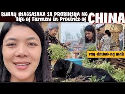 South-Garo-hills Silkigre hospital area a.a rutomtaiengjok  daobatai/Ronganggre Village=date=8.7.23