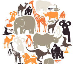 Kingdom Animalia Classifying Animals Mensa For Kids