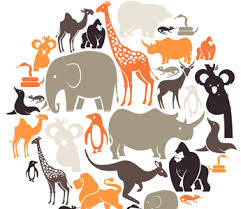 kingdom animalia classifying animals mensa for kids