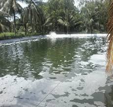 Modul/buku yang relevan doanload internet media elektronika. Mata Pelajaran Smk Jurusan Agribisnis Perikanan Air Tawar Wasito Info