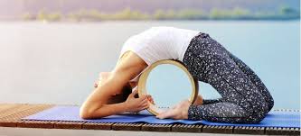 Hatha & flow yoga for beginners is one of the best hatha flow yoga dvds out there. The Best Yoga Dvd S For Home 2021 Fully Reviewed