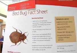 Syracuse Among Worst Cities In Nation For Bed Bugs Wstm