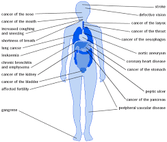 Health Effects Of Tobacco Ncpc
