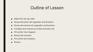 Check spelling or type a new query. Plant Vs Animal Cells Outline Of Lesson Watch